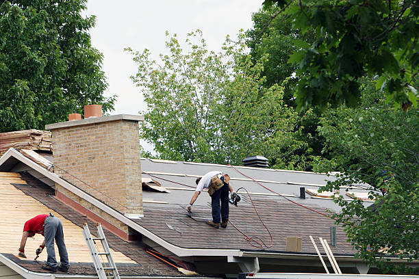 Roof Gutter Cleaning in Port Gibson, MS